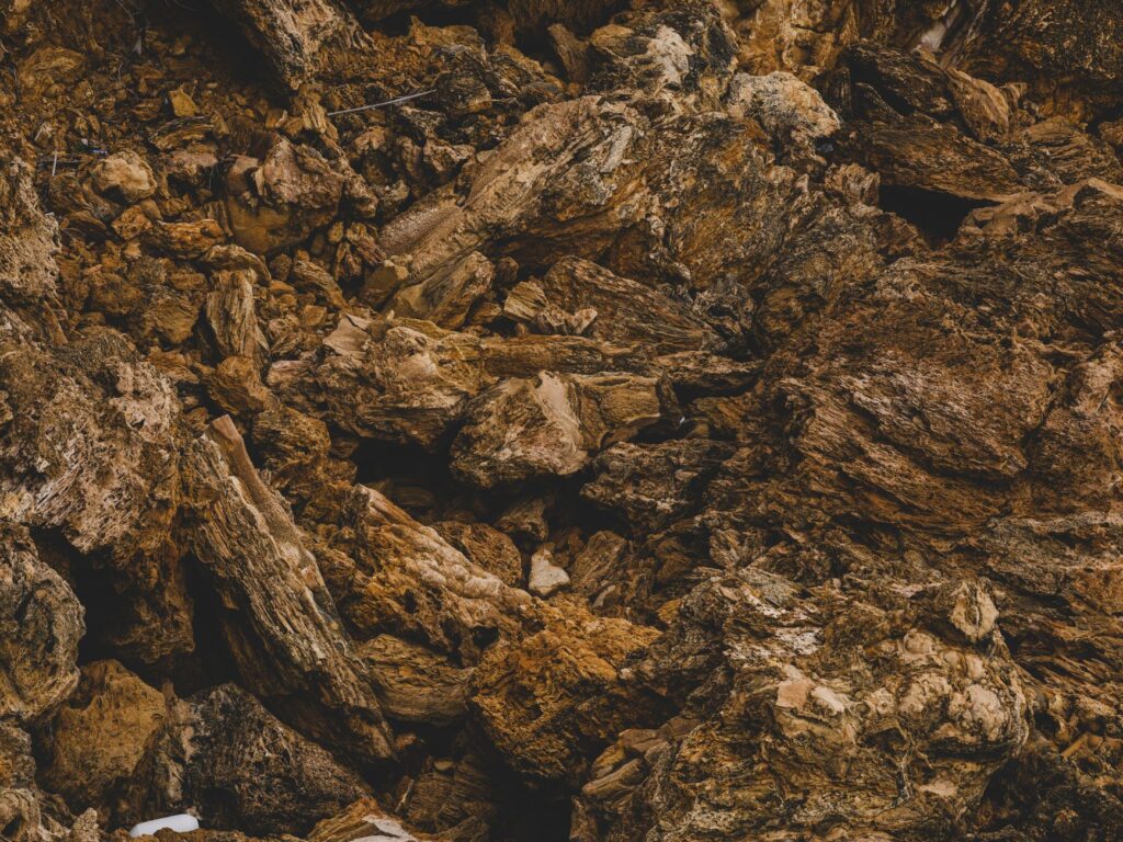 Akvaryum Dekorasyonu: Taş, Kök Ağacı ve Hardscape Nasıl Seçilir? – görsel 2